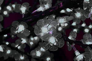 Светодиодная гирлянда "Цветки Сакуры", 10 м, белая, 100 диодов